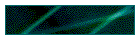 Dolphin Profile