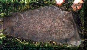 8,000 year old stone petroglyph of killer whale. Wrangell, AK.